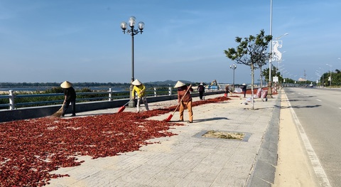 Ớt rớt giá thê thảm vì Trung Quốc ngừng mua- Ảnh 1. Ớt rớt giá thê thảm, người trồng ớt tận dụng vỉa hè đường bờ Nam sông Trà Khúc để phơi, bán ớt khô - Ảnh: TRẦN MAI