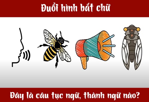 IQ cao có đoán được đây là câu tục ngữ, thành ngữ gì? (P58)- Ảnh 1. IQ cao có đoán được đây là câu tục ngữ, thành ngữ gì? (P58)- Ảnh 1.