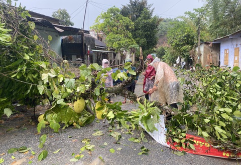 Miền núi Quảng Nam đón mưa giải nhiệt, cây cối bật gốc ngã đổ trên đường- Ảnh 6. Người dân dùng rựa chặt cây xanh ngã đổ chắn ngang đường - Ảnh: LÊ TRUNG