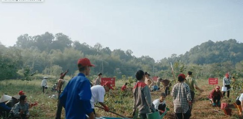 Rừng già vào MV mới của Đen Vâu với thông điệp bảo vệ rừng- Ảnh 3. Rừng già vào MV mới của Đen Vâu với thông điệp bảo vệ rừng- Ảnh 3.
