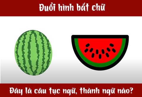 IQ cao có đoán được đây là câu tục ngữ, thành ngữ gì? (P58)- Ảnh 3. IQ cao có đoán được đây là câu tục ngữ, thành ngữ gì? (P58)- Ảnh 3.