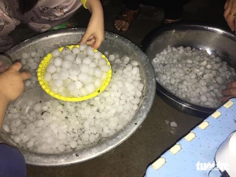 Xảy ra mưa đá và lốc xoáy nhiều nơi ở Nghệ An- Ảnh 3. Người dân huyện Quỳ Châu, Nghệ An nhặt các viên mưa đá to như quả trứng gà - Ảnh: BÉ VINH