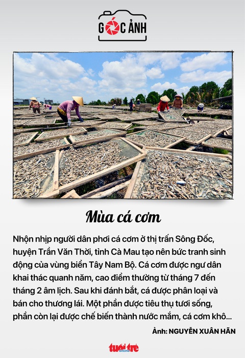 Tin tức sáng 30-3: Đề xuất mới về đầu tư quỹ bảo hiểm xã hội; Khen thưởng nữ điều dưỡng cứu người- Ảnh 8. Tin tức sáng 30-3: Đề xuất mới về đầu tư quỹ bảo hiểm xã hội; Khen thưởng nữ điều dưỡng cứu người- Ảnh 8.