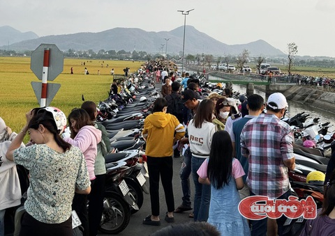 Cánh đồng lúa đang 'hot' nhất ở Việt Nam- Ảnh 3. Càng về chiều tối, dòng người lại tìm đến con đường chạy xuyên cánh đồng lúa An Nhứt để trải nghiệm, thư giãn. (Ảnh: VŨ NGUYỄN)