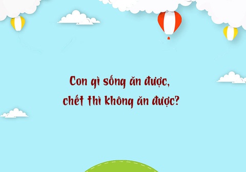 Câu đố hack não: Vì sao mặt trời mọc ở hướng Đông?- Ảnh 3. Câu đố hack não: Vì sao mặt trời mọc ở hướng Đông?- Ảnh 3.