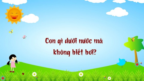 Câu đố hack não: Tại sao con cua bò ngang?- Ảnh 5. Câu đố hack não: Tại sao con cua bò ngang?- Ảnh 5.
