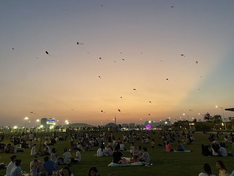 Ngắm hoàng hôn, check-in với đồng cỏ, mặt trời tại Kite Zone- Ảnh 1. Đồng diều vui vẻ, ấm cúng dành cho các gia đình và nhóm bạn trẻ
