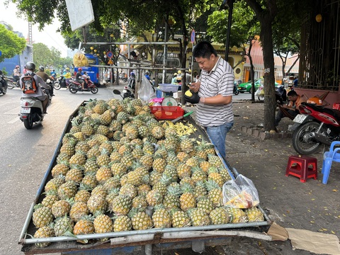 Ăn dứa để phòng chống bệnh tim mạch, ung thư, nhưng ai không nên ăn?- Ảnh 1. Dứa được bày bán nhiều tại đường Phan Xích Long, Q.Phú Nhuận, TP.HCM - Ảnh: THÙY DƯƠNG