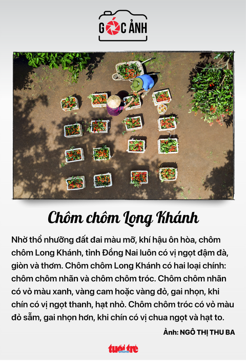 Tin tức sáng 4-3: Thí điểm mở khu thương mại tự do ở Đà Nẵng; Giá cà phê lập đỉnh mới- Ảnh 5. Tin tức sáng 4-3: Thí điểm mở khu thương mại tự do ở Đà Nẵng; Giá cà phê lập đỉnh mới- Ảnh 5.