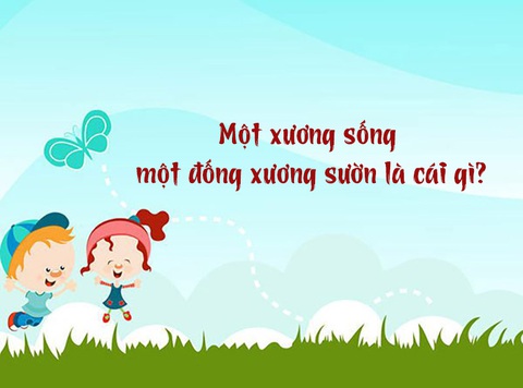 Câu đố hack não: Một xương sống một đống xương sườn là cái gì?- Ảnh 1. Câu đố hack não: Một xương sống một đống xương sườn là cái gì?- Ảnh 1.