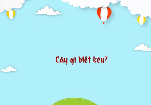 Câu đố hack não: Một xương sống một đống xương sườn là cái gì?- Ảnh 3. Câu đố hack não: Một xương sống một đống xương sườn là cái gì?- Ảnh 3.