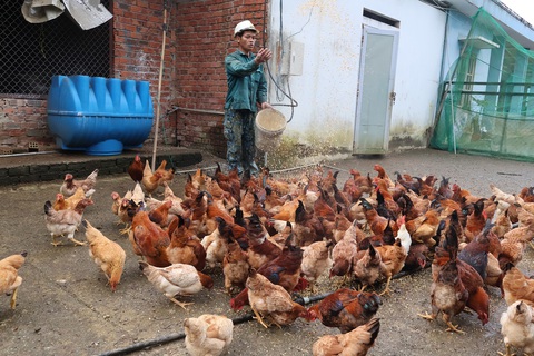 Hiên Chưu, một người trẻ đầy nhiệt huyết, siêng năng ở làng thanh niên lập nghiệp Thạnh Mỹ - Ảnh: LÊ TRUNG Hiên Chưu, một người trẻ đầy nhiệt huyết, siêng năng ở làng thanh niên lập nghiệp Thạnh Mỹ - Ảnh: LÊ TRUNG