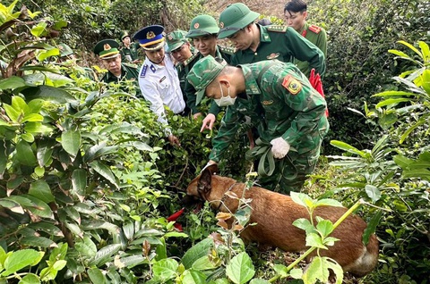 Lính biên phòng và người dân vùng biển Quảng Ngãi truy tìm ma túy Lính biên phòng và người dân vùng biển Quảng Ngãi truy tìm ma túy - Ảnh: TRẦN MAI
