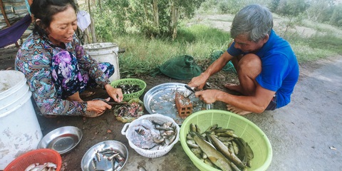 Một phụ nữ nguy kịch sau vết thương đơn giản: Ngạnh cá trê đâm vào tay- Ảnh 1. Bác sĩ khuyến cáo tiếp xúc với cá, chăm sóc động vật... nên đeo găng tay để tránh xây xước - Ảnh minh họa