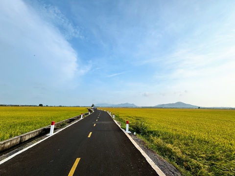 Con đường xuyên cánh đồng lúa An Nhứt ở Bà Rịa Vũng Tàu - Ảnh: NGUYỆT PHẠM Con đường xuyên cánh đồng lúa An Nhứt ở Bà Rịa - Vũng Tàu - Ảnh: NGUYỆT PHẠM
