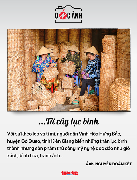 Từ cây lục bình - Ảnh: NGUYỄN ĐOÀN KẾT Từ cây lục bình - Ảnh: NGUYỄN ĐOÀN KẾT
