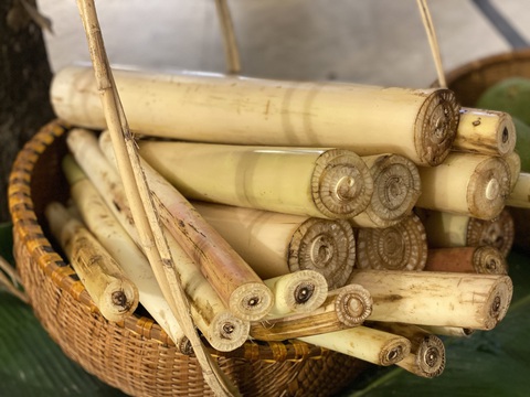 Rau trái bà con Cơ Tu làm nguyên liệu nem công chả phượng- Ảnh 5. Phần lõi của cây chuối rừng tại Quảng Nam được bán về các khách sạn tại Đà Nẵng - Ảnh: B.D.