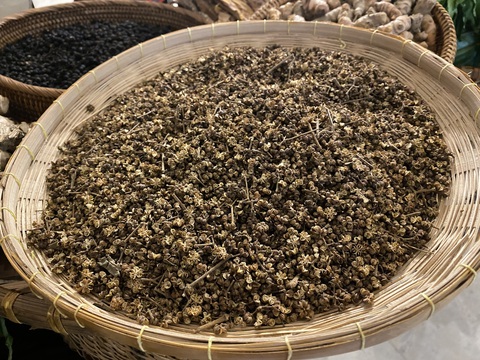 Rau trái bà con Cơ Tu làm nguyên liệu nem công chả phượng- Ảnh 6. Hạt tiêu rừng - gia vị quen thuộc từ núi rừng của đồng bào Cơ Tu - Ảnh: B.D.