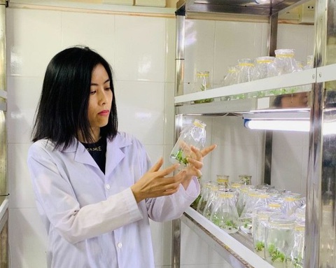Nữ giảng viên người Việt Nam đạt chuẩn giáo sư tại Pháp năm 2024- Ảnh 1. PGS.TSKH Nguyễn Thị Mộng Điệp - Ảnh: NVCC