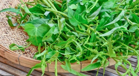 Những ai cần hạn chế ăn rau muống?- Ảnh 1. Rau muống có nhiều công dụng với sức khỏe - Ảnh: NEXTSHARK