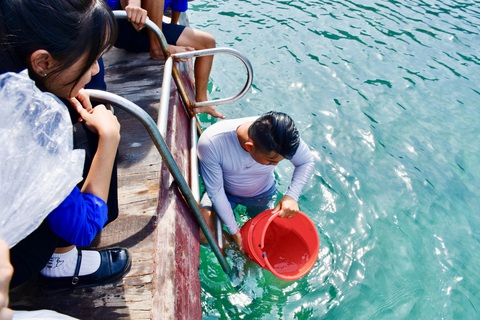 Những người nhặt rác từ biển lên rừng, giúp Nha Trang thêm xanh- Ảnh 3. Thả các loại sinh vật biển tái tạo hệ sinh thái - Ảnh: TRẦN HOÀI