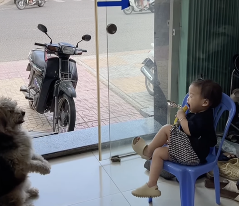 Ảnh vui 31-3: Lời cảnh báo dành cho hàng xóm tối ngày hát karaoke- Ảnh 3. Kẻ kiên nhẫn gặp người vô tâm.