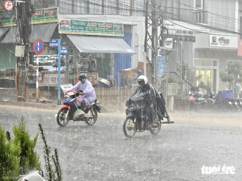 Đà Lạt mưa trắng trời, nhiều nơi mưa đá- Ảnh 5. Mưa lớn trong nội ô Đà Lạt - Ảnh: M.V.