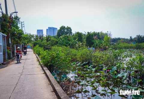 Thực trạng bán đảo Thanh Đa được đề xuất thành công viên- Ảnh 8. Theo người dân Thanh Đa, họ đã từng nghe nhiều lần về quy hoạch xây dựng lại bán đảo này, thế nhưng đến nay điều đó vẫn nằm trên giấy, người dân vẫn sống với quang cảnh không khác gì nông thôn