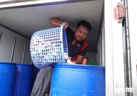 Trúng đậm ngao tím, ngư dân thu tiền triệu sau mỗi đêm ra khơi- Ảnh 7. Từ đầu năm đến nay sản lượng hải sản ngư dân xã Thạch Kim đánh bắt được là 187 tấn với giá trị 15,3 tỉ đồng, trong đó chỉ riêng trong tháng 2-2024 sản lượng đánh bắt được đạt 115 tấn với giá trị hơn 9,8 tỉ đồng
