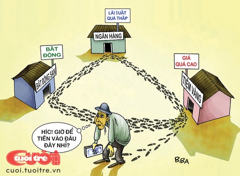 Loay hoay với 'tiền nhàn rỗi'- Ảnh 2. Loay hoay với tiền nhàn rỗi - Tranh: B.Ba