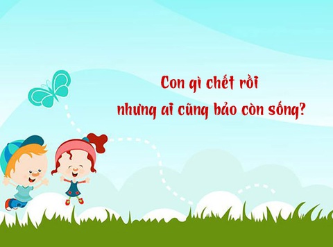 Câu đố hack não: Con gì chết rồi nhưng ai cũng bảo còn sống?- Ảnh 1. Câu đố hack não: Con gì chết rồi nhưng ai cũng bảo còn sống?- Ảnh 1.