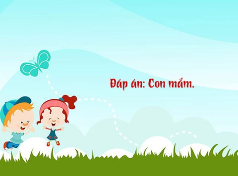 Câu đố hack não: Con gì chết rồi nhưng ai cũng bảo còn sống?- Ảnh 2.