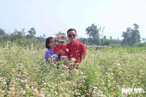 Mê mẩn vườn hoa tam giác mạch giữa xứ Quảng- Ảnh 4. Gia đình ông Tuấn chụp ảnh trong vườn hoa tam giác mạch