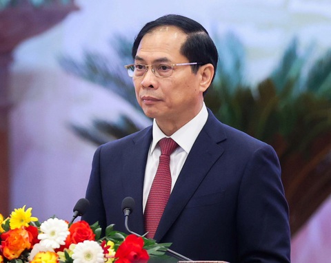 Sắp chất vấn Bộ trưởng Bộ Tài chính và Bộ trưởng Bộ Ngoại giao- Ảnh 2. Bộ trưởng Bộ Ngoại giao Bùi Thanh Sơn - Ảnh: D.L