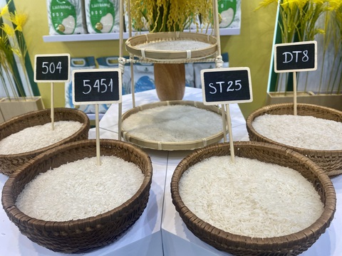 Gạo ST25, ST24 được hưởng ưu đãi thuế xuất khẩu sang EU là không chính xác- Ảnh 1. Bộ Nông nghiệp và Phát triển nông thôn khẳng định thông tin gạo ST24, ST25 được hưởng ưu đãi thuế 0% khi xuất khẩu sang thị trường EU là không chính xác - Ảnh: TRƯỜNG TRUNG