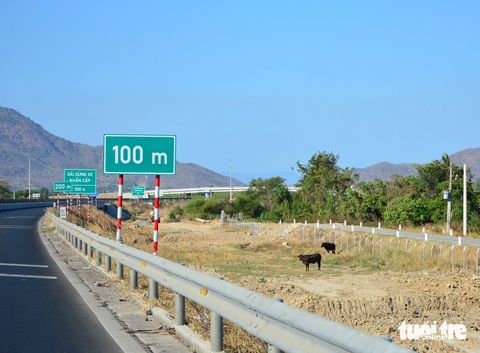 Đi bộ nhặt ve chai trên cao tốc Phan Thiết - Dầu Giây- Ảnh 5. Vẫn còn tình trạng chăn thả bò trong phạm vi dự án cao tốc Vĩnh Hảo - Phan Thiết, đoạn qua huyện Hàm Thuận Bắc, Bình Thuận.