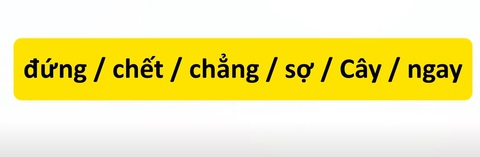 Thử tài tiếng Việt: Sắp xếp các từ sau thành câu có nghĩa (P26)- Ảnh 3. Thử tài tiếng Việt: Sắp xếp các từ sau thành câu có nghĩa (P26)- Ảnh 3.