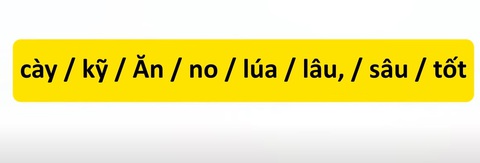 Thử tài tiếng Việt: Sắp xếp các từ sau thành câu có nghĩa (P27)- Ảnh 3. Thử tài tiếng Việt: Sắp xếp các từ sau thành câu có nghĩa (P27)- Ảnh 3.