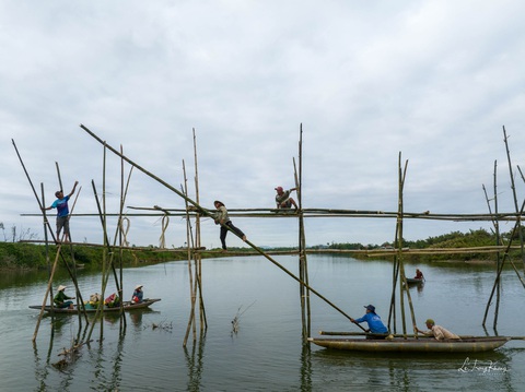 Người dân đu mình cắm sào nối cầu Người dân đu mình nối từng cây tre để làm cầu qua sông