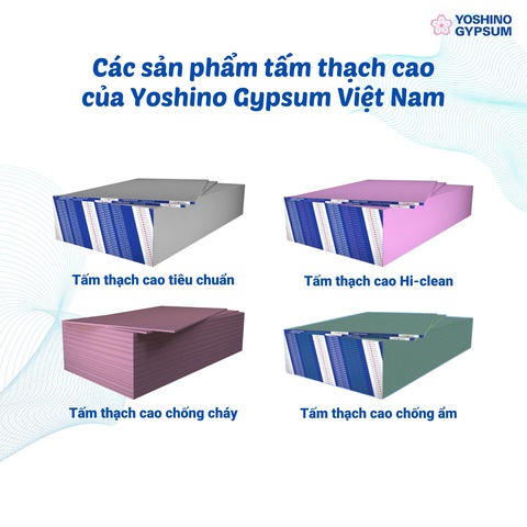 Không gian sống bị thiếu sáng và bí khí: Tác hại và giải pháp- Ảnh 3. Không gian sống bị thiếu sáng và bí khí: Tác hại và giải pháp- Ảnh 3.