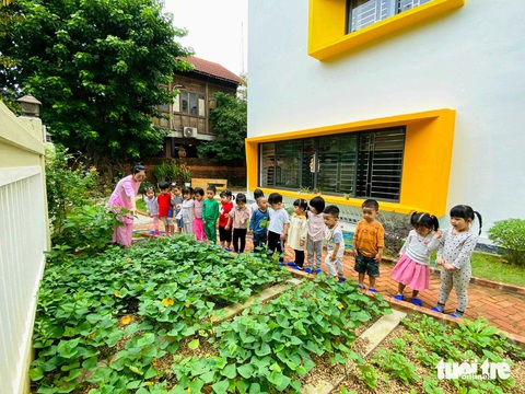 Trường mầm non không nhận quà ngày 8-3, chỉ nhận ‘cây con có rễ’- Ảnh 1. Một mảng xanh ở Trường mầm non Lâm Tỳ Ni do chính các bậc phụ huynh cùng các con, cô giáo ở trường gầy dựng - Ảnh: SC THUẦN ĐỊNH