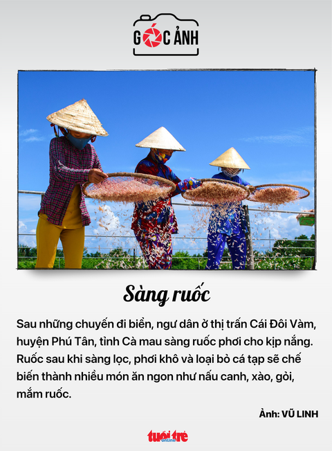 Sàng ruốc - Ảnh: VŨ LINH Sàng ruốc - Ảnh: VŨ LINH