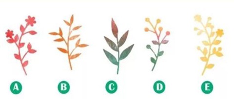 Quiz: Ba điều may mắn nào sẽ đến với bạn trong năm nay?- Ảnh 1. Quiz: Ba điều may mắn nào sẽ đến với bạn trong năm nay?- Ảnh 1.