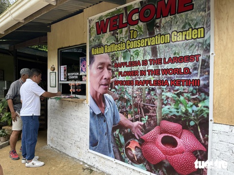 Đến Malaysia chiêm ngưỡng loài hoa lớn nhất thế giới- Ảnh 3. Vườn bảo tồn loài hoa Rafflesia ở Rauna, bang Sabah, Malaysia thuộc về tư nhân. Từ khi nuôi dưỡng thành công loài hoa này, vườn đón khá nhiều du khách. - Ảnh: HẢI KIM