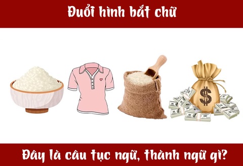 IQ cao có đoán được đây là câu tục ngữ, thành ngữ gì? (P61)- Ảnh 3. IQ cao có đoán được đây là câu tục ngữ, thành ngữ gì? (P61)- Ảnh 3.