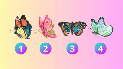 Quiz: Cuộc sống của bạn suôn sẻ hay sóng gió?- Ảnh 1. Quiz: Cuộc sống của bạn suôn sẻ hay sóng gió?- Ảnh 1.