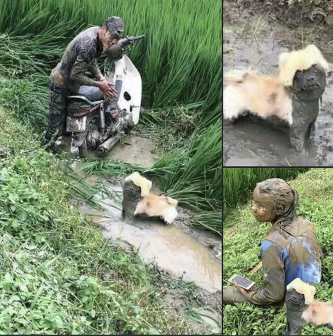 Ảnh vui 10-4: Tương lai của ai đó khi làm mẹ- Ảnh 2. Ảnh vui 10-4: Tương lai của ai đó khi làm mẹ- Ảnh 2.