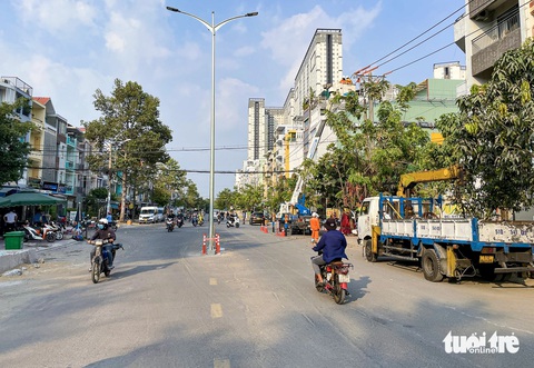 Đường Tạ Quang Bửu ở quận 8 sắp hoàn thành sau 23 năm khởi công- Ảnh 4. Cột đèn chiếu sáng mới được trồng giữa đường Tạ Quang Bửu (ghi nhận chiều 10-4)
