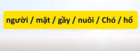 Thử tài tiếng Việt: Sắp xếp các từ sau thành câu có nghĩa (P60)- Ảnh 1. Thử tài tiếng Việt: Sắp xếp các từ sau thành câu có nghĩa (P60)- Ảnh 1.