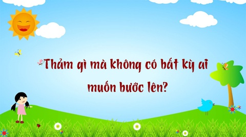 Câu đố hack não: Con gì thân hình nửa chuột, nửa chim?- Ảnh 3. Câu đố hack não: Con gì thân hình nửa chuột, nửa chim?- Ảnh 3.